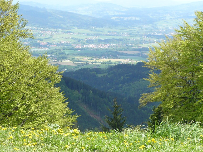 img00013.jpg