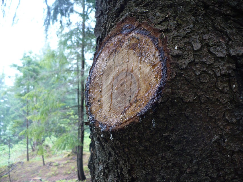 img00007.jpg