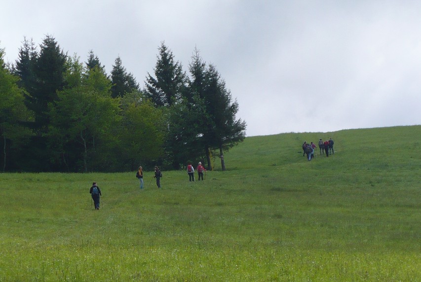 img00008.jpg
