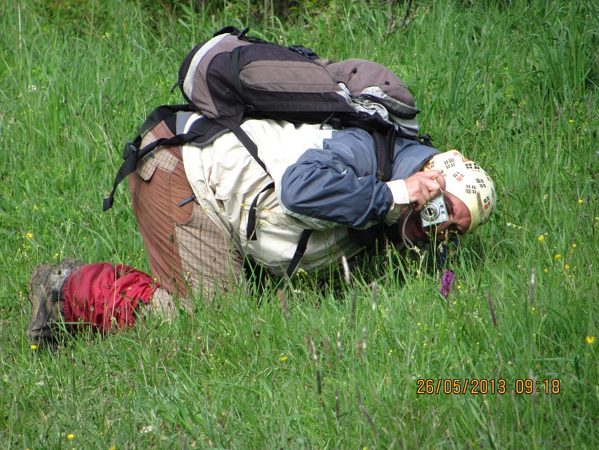 img00010.jpg