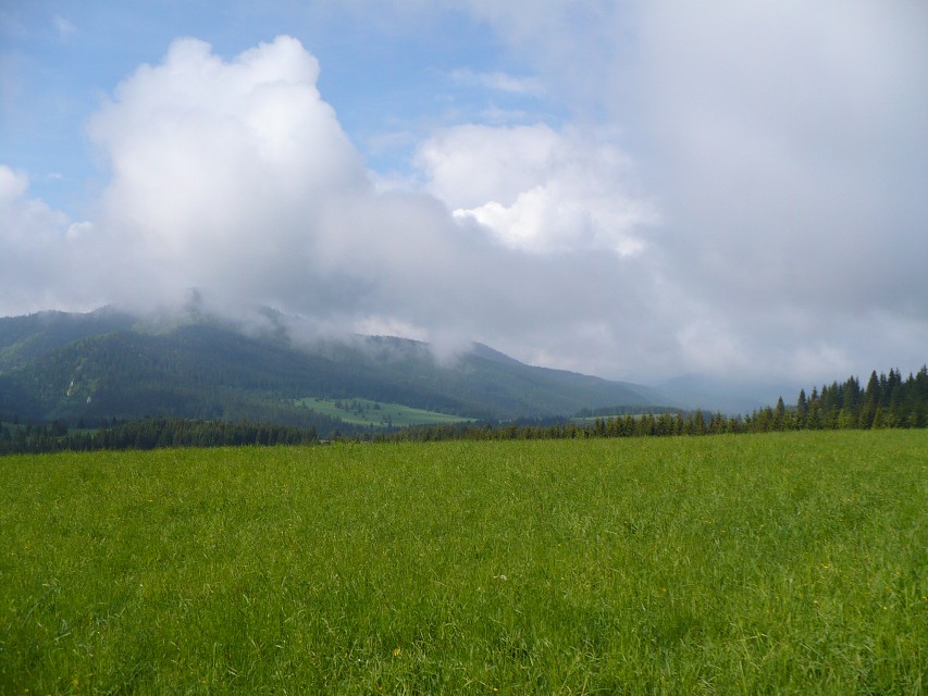 img00015.jpg