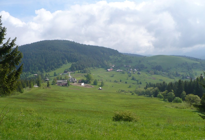 img00016.jpg