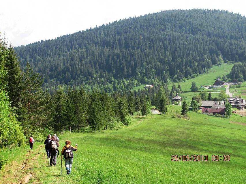 img00017.jpg