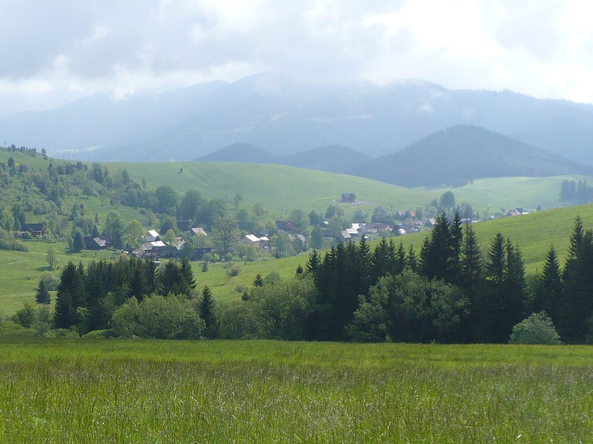 img00018.jpg