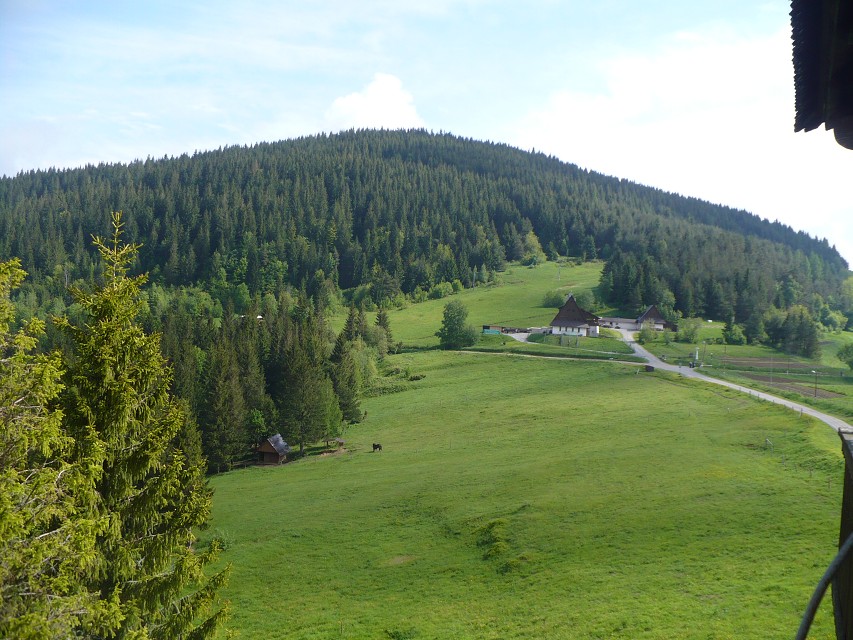 img00021.jpg