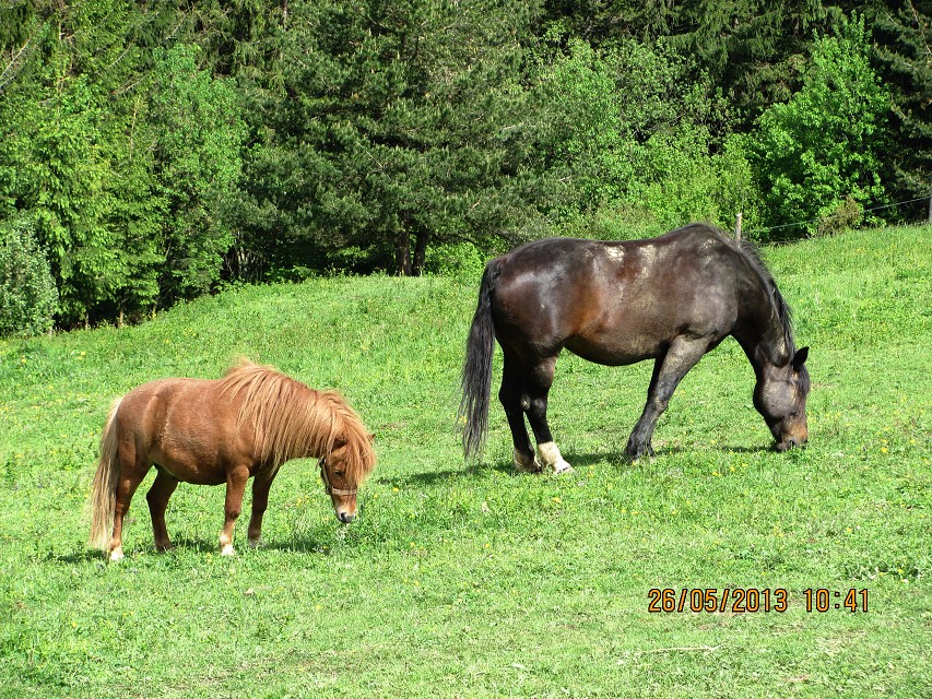 img00026.jpg