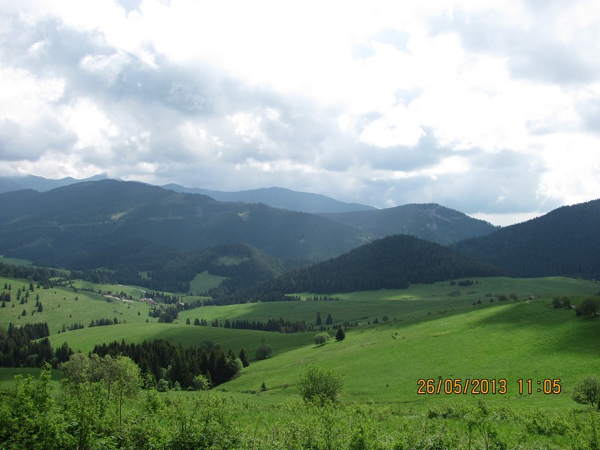 img00031.jpg