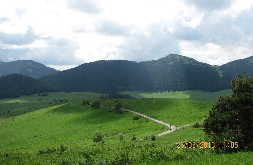 img00032.jpg
