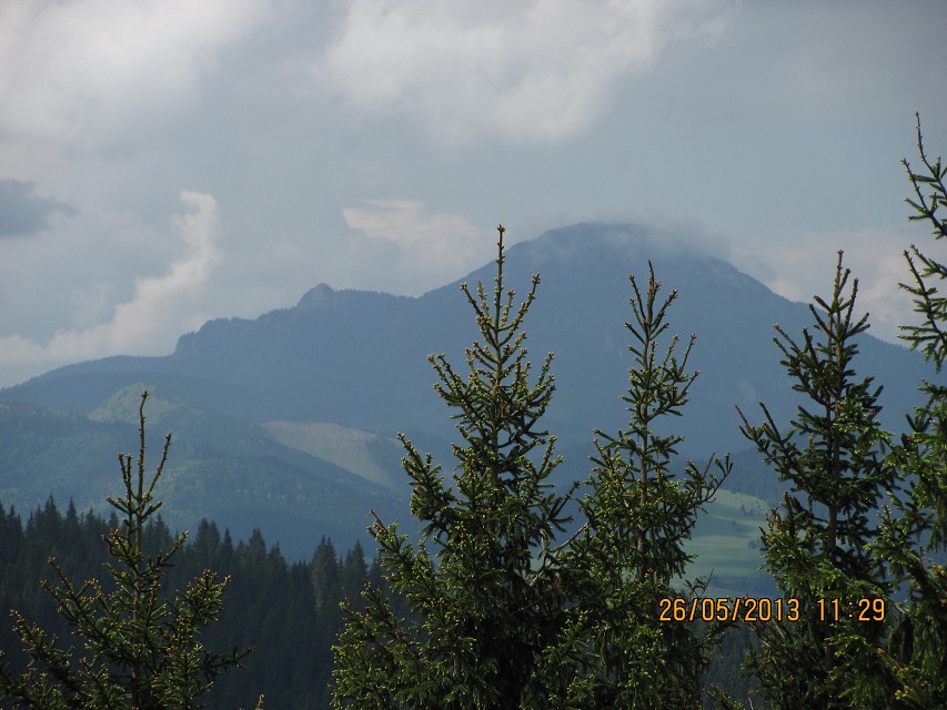 img00037.jpg