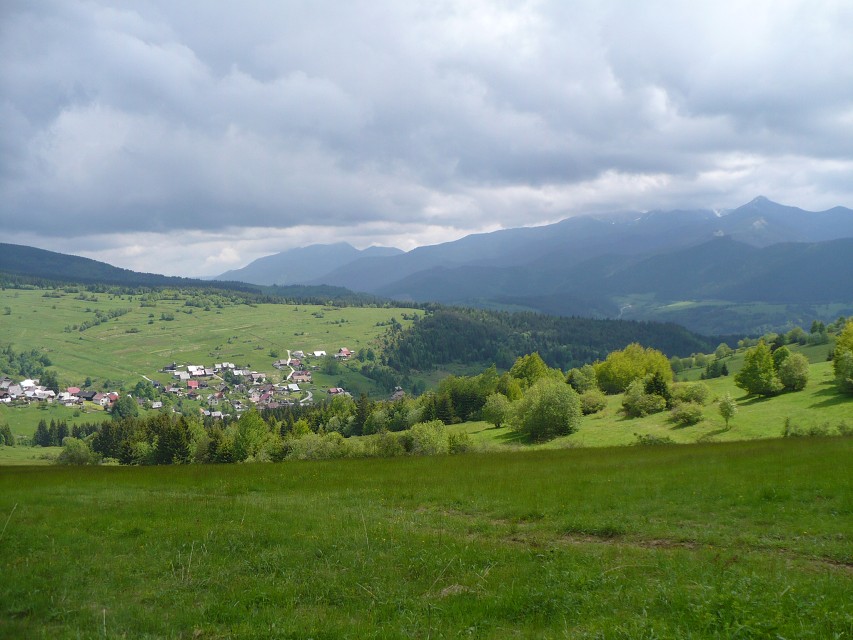 img00039.jpg