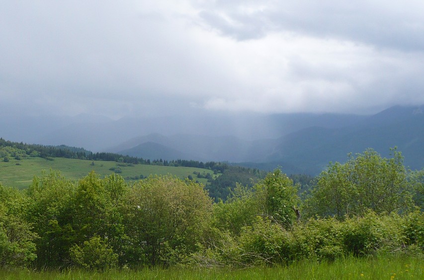 img00042.jpg