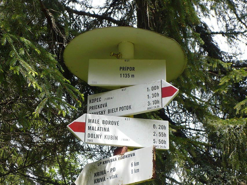 img00045.jpg