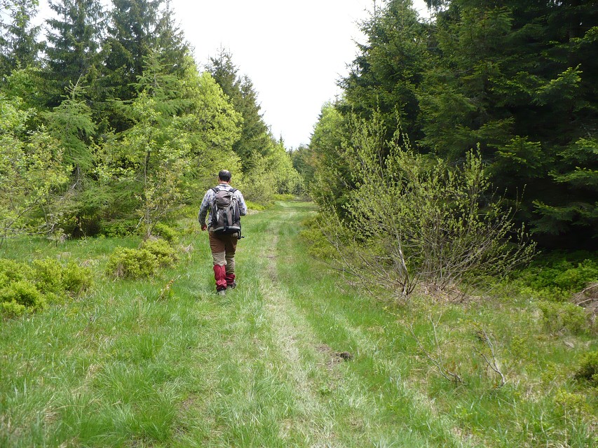 img00046.jpg
