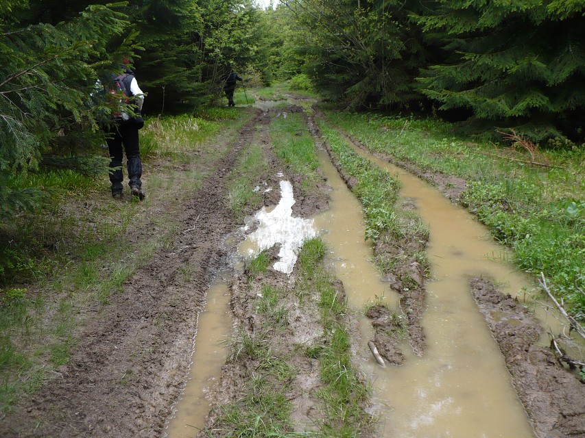 img00047.jpg