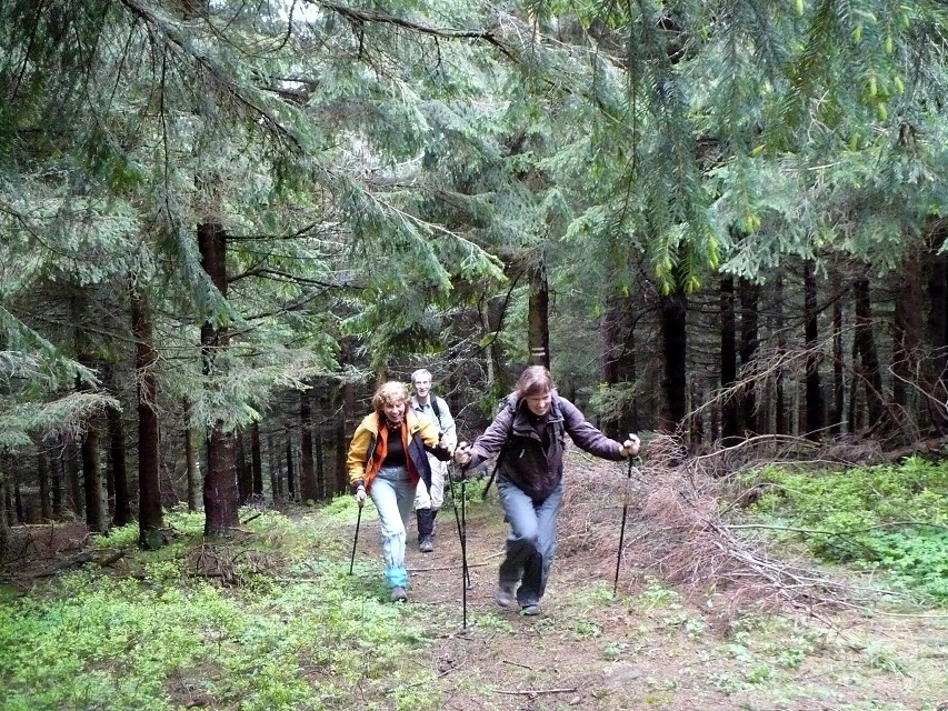 img00050.jpg