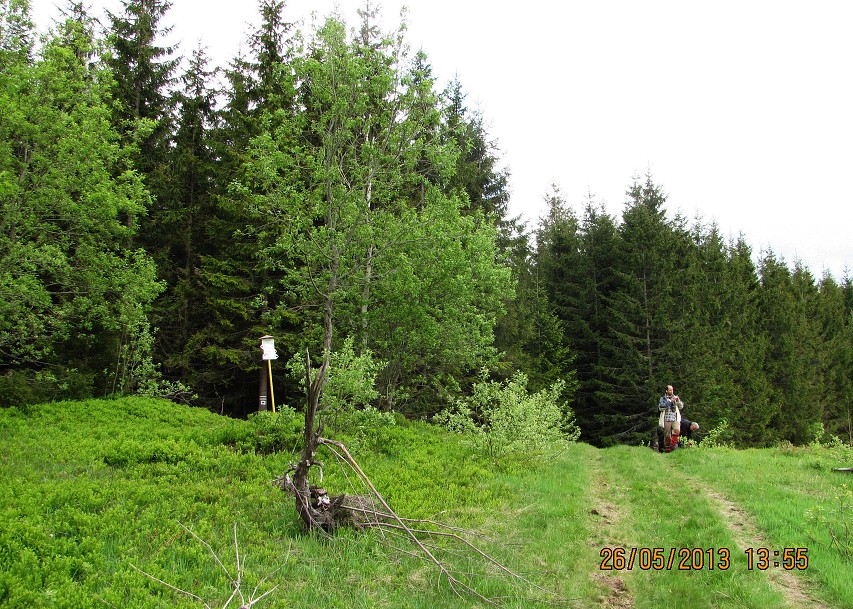 img00053.jpg