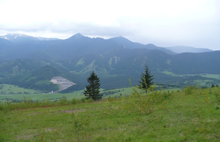 img00056.jpg