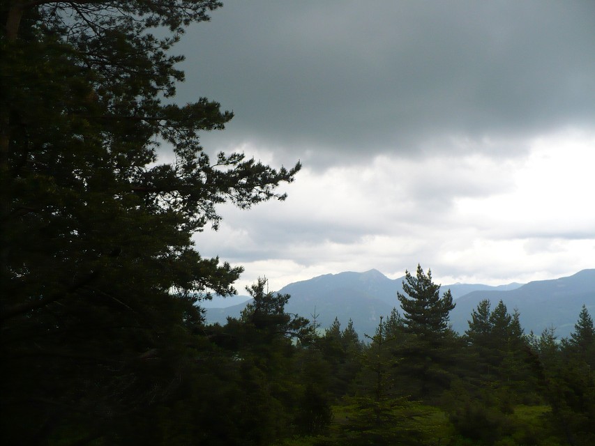 img00060.jpg