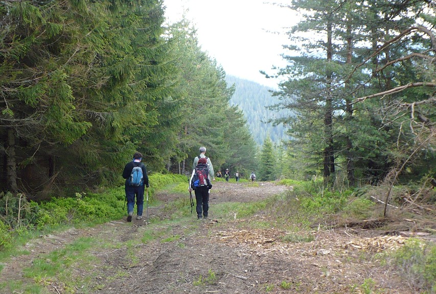 img00061.jpg