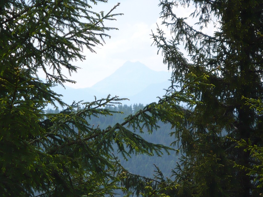 img00062.jpg