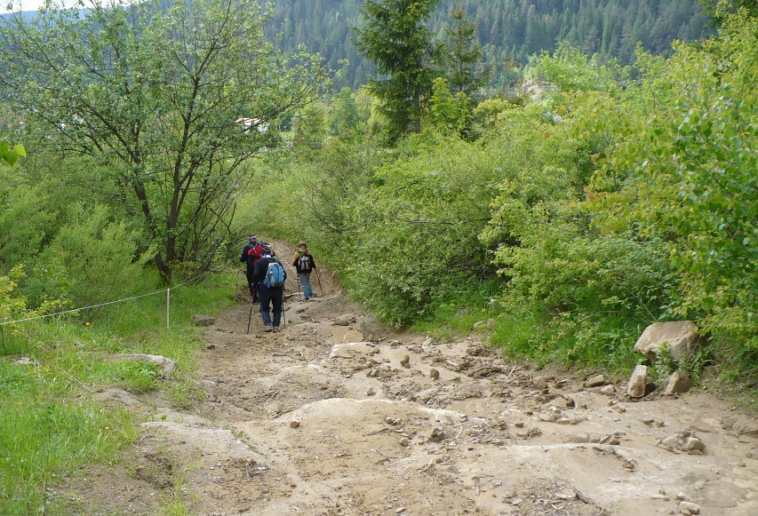 img00072.jpg