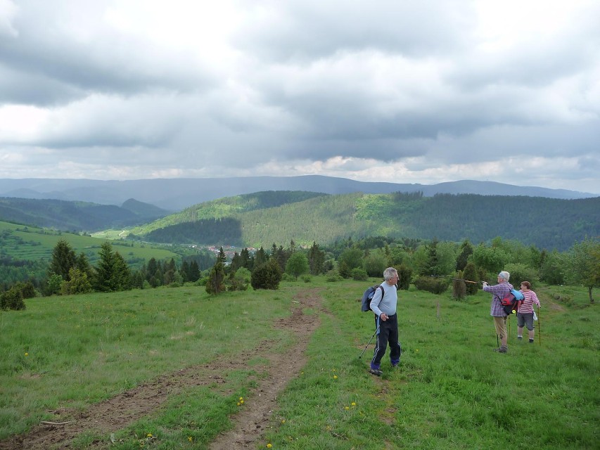 img00078.jpg