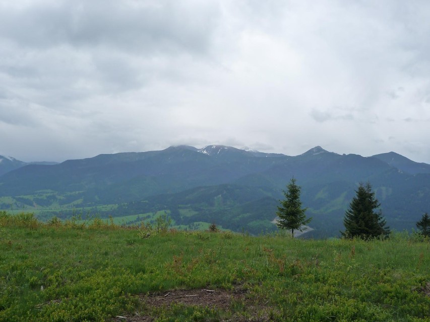 img00081.jpg