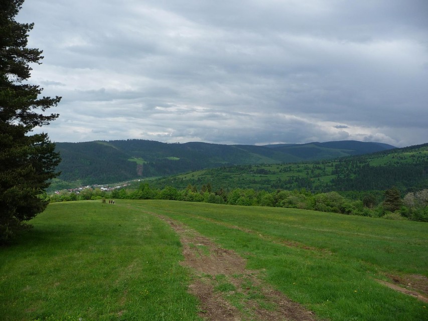 img00088.jpg