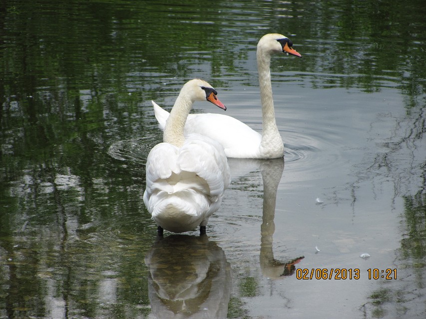 img00002.jpg