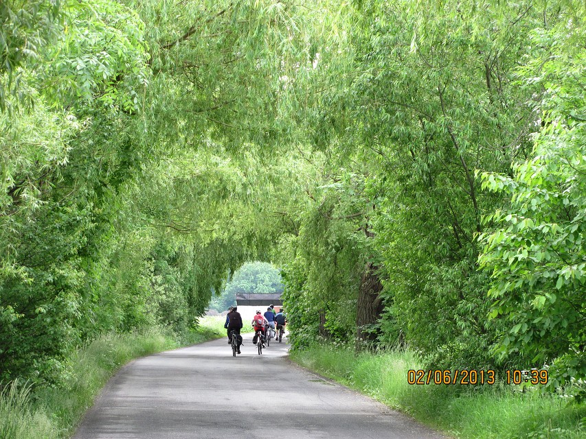 img00004.jpg