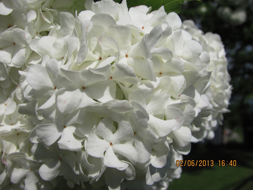 img00030.jpg