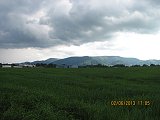 thn00034.jpg