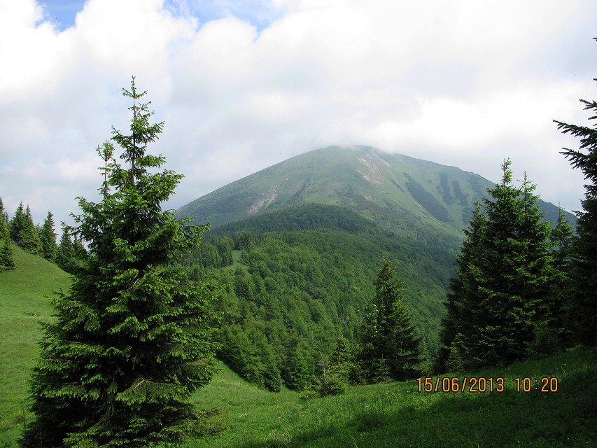 img00013.jpg