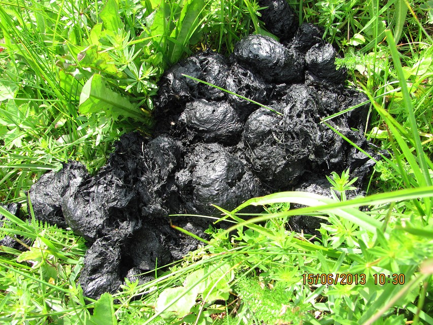 img00016.jpg