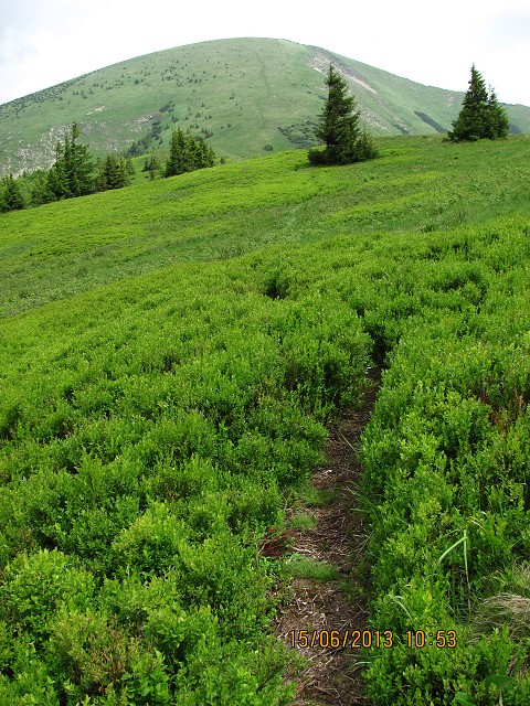 img00018.jpg