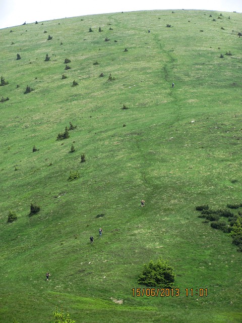 img00019.jpg