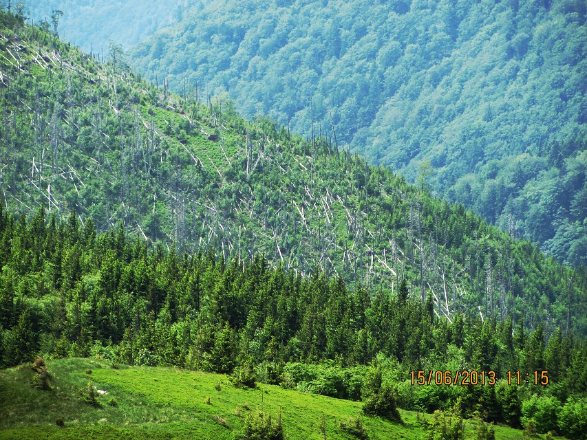 img00021.jpg
