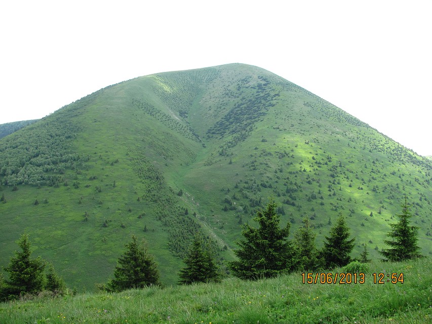 img00029.jpg
