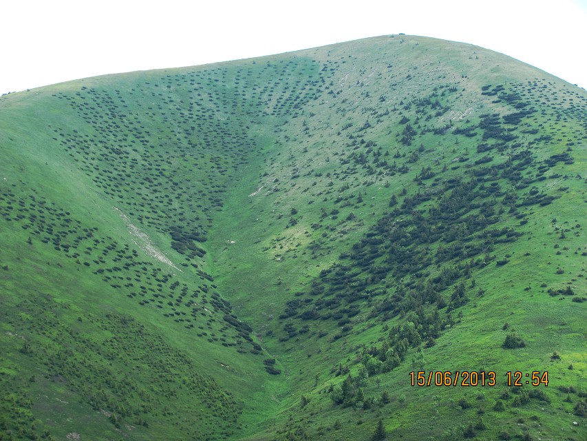 img00030.jpg