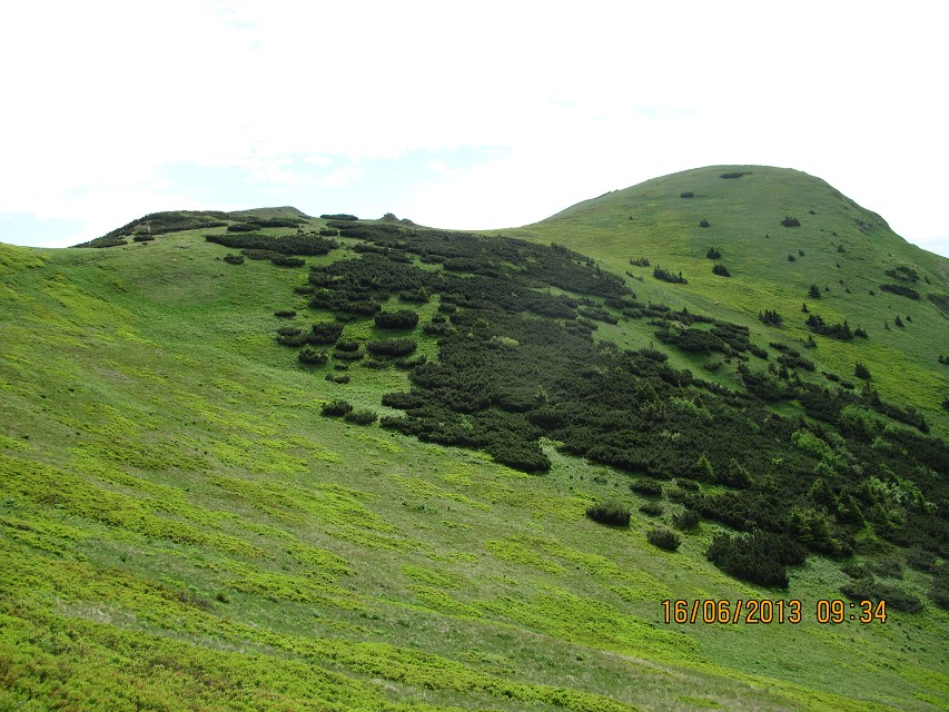 img00070.jpg