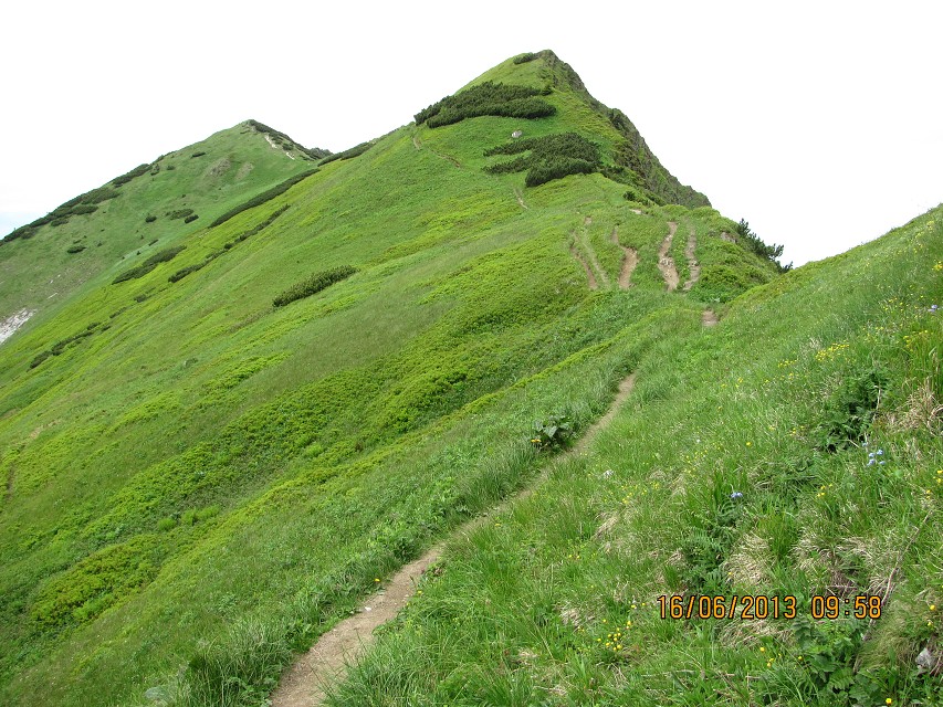 img00072.jpg