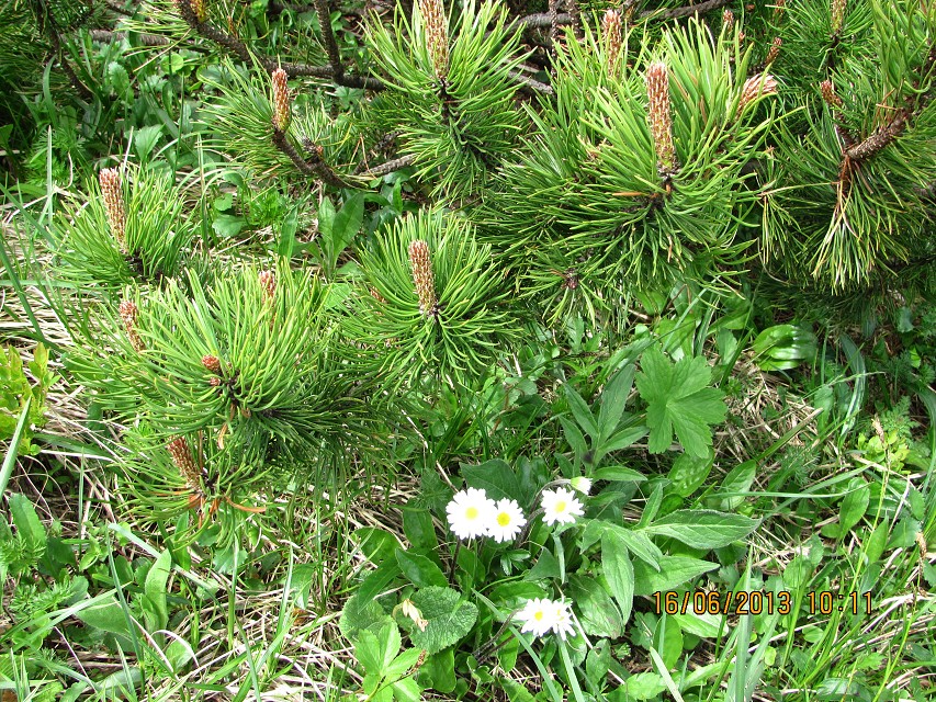 img00073.jpg