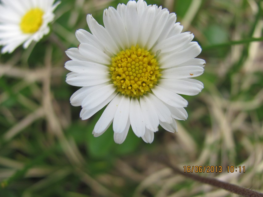 img00074.jpg