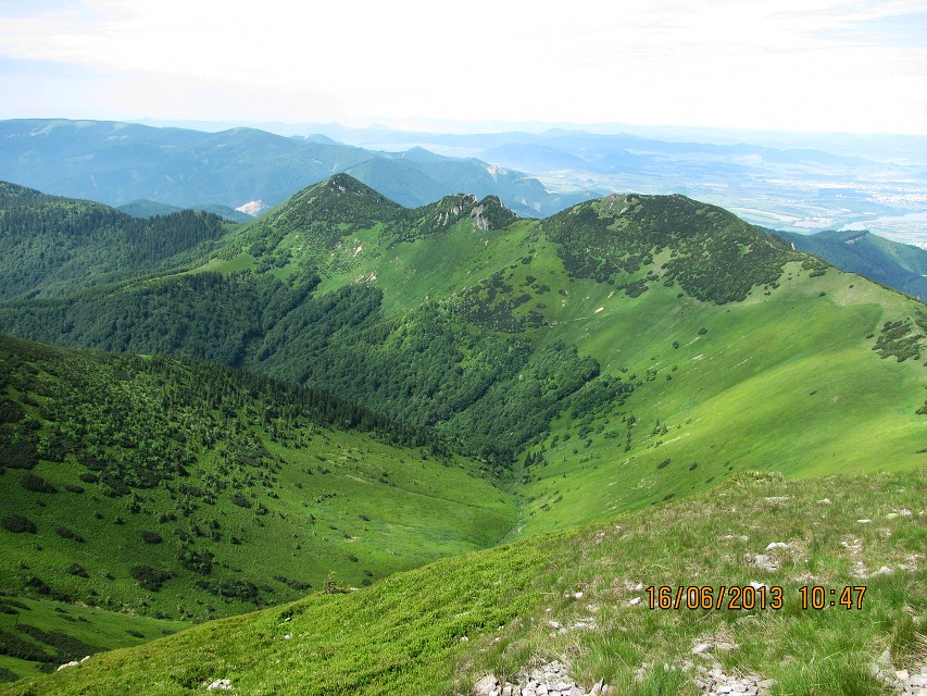 img00077.jpg