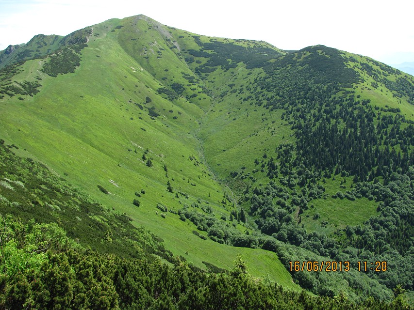 img00079.jpg