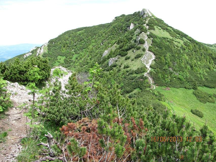 img00080.jpg