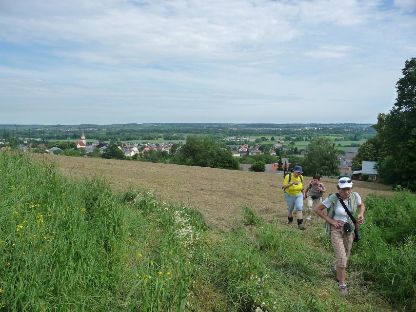 img00009.jpg