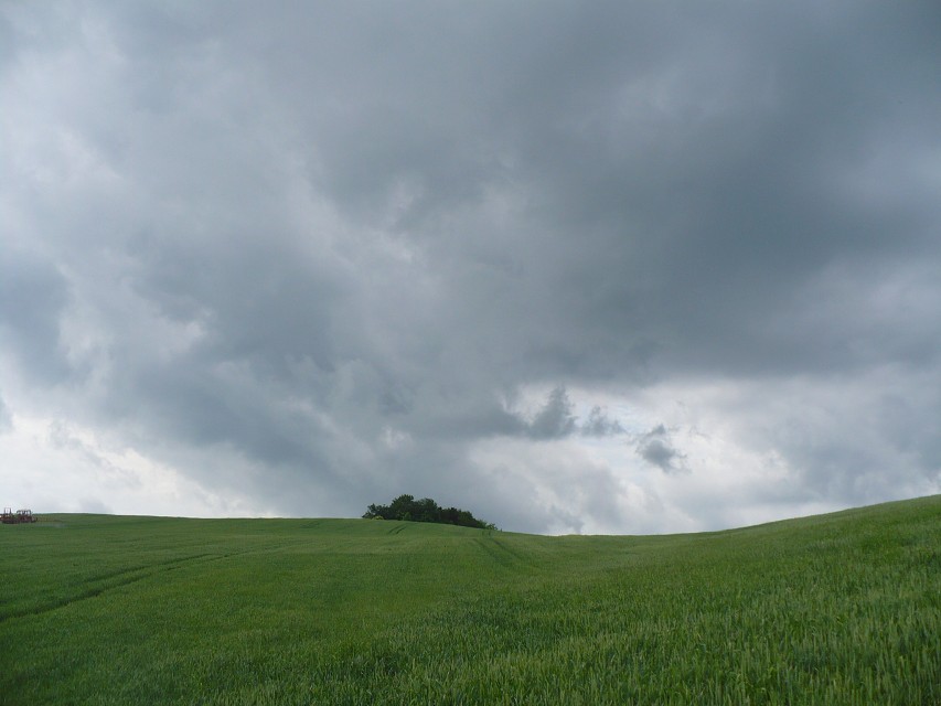 img00014.jpg