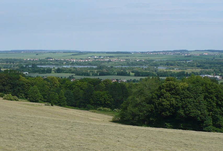 img00016.jpg