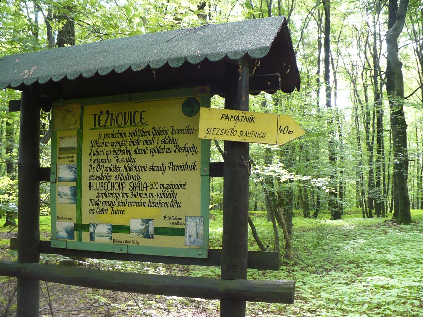img00017.jpg